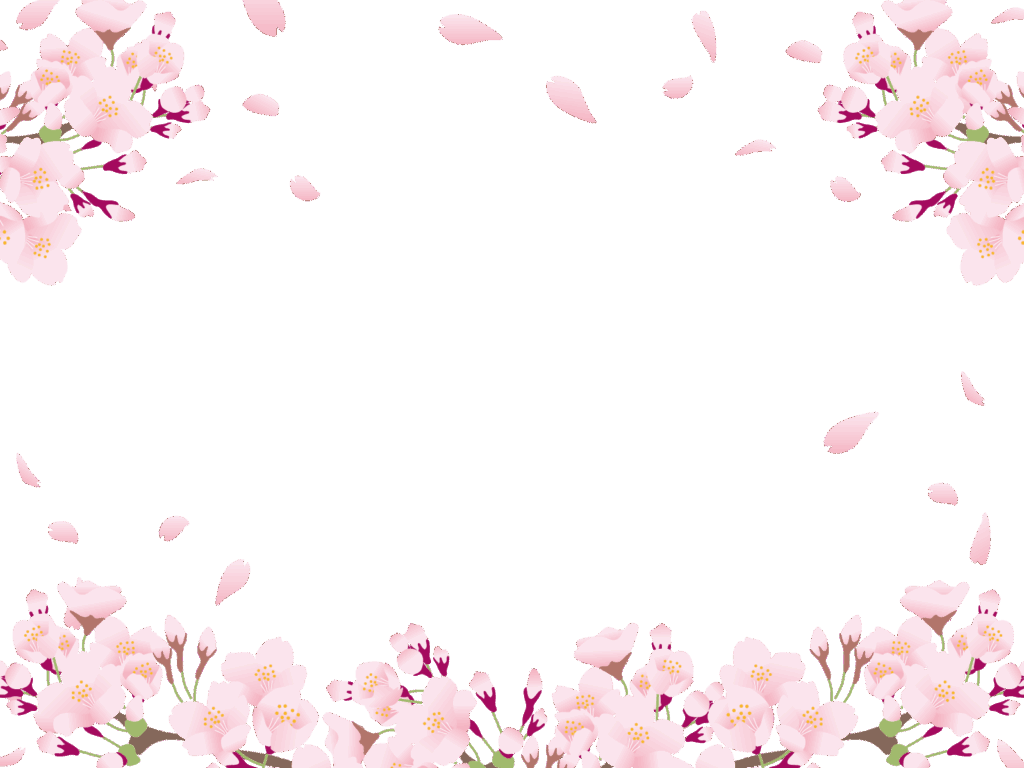 Japanese cherry blossoms